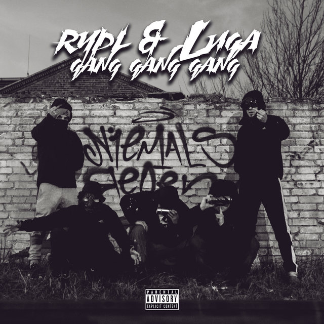 Gang Gang Gang