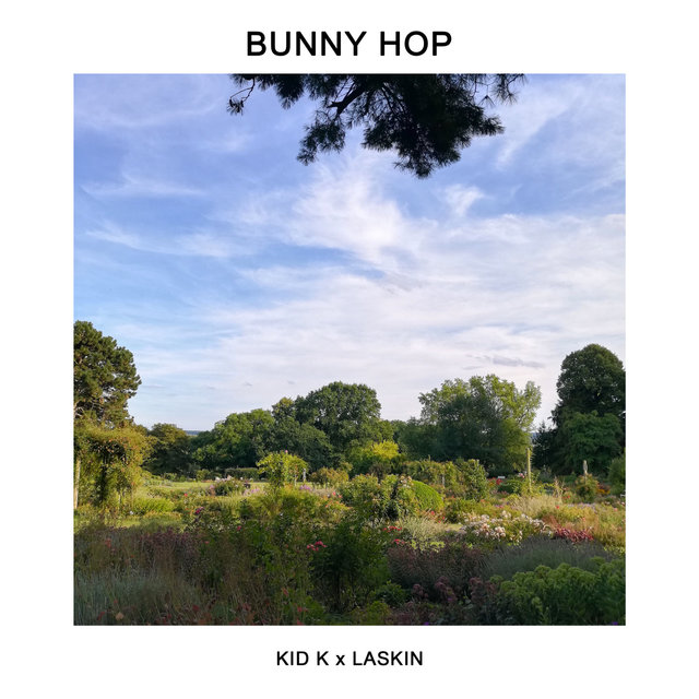 Bunny Hop