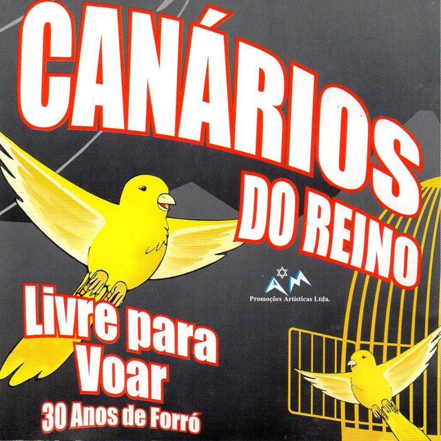 Livre para Voar (Ao Vivo)