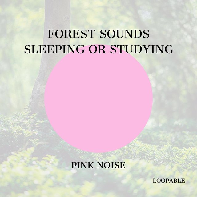 Forest Sounds for Sleeping or Studying (Pink Noise), Loopable