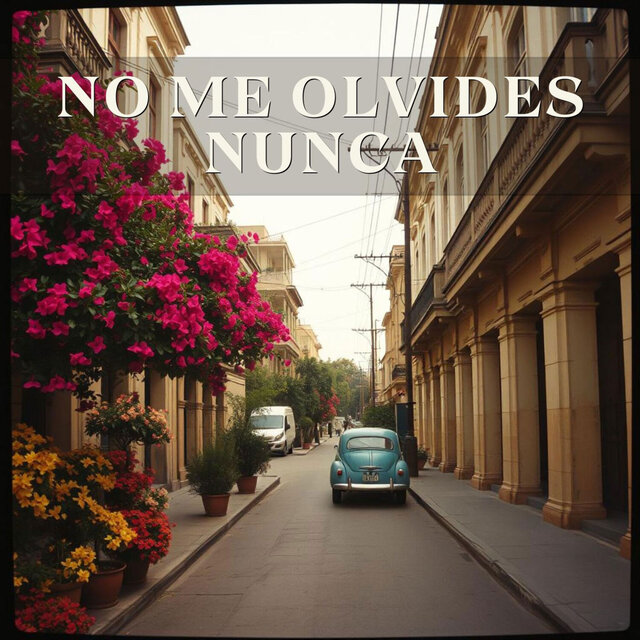 No Me Olvides Nunca