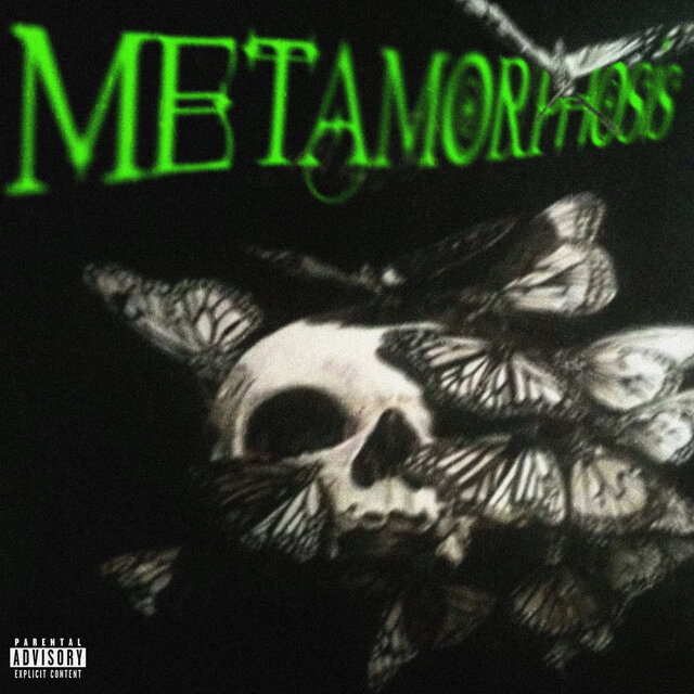 METAMORPHOSIS