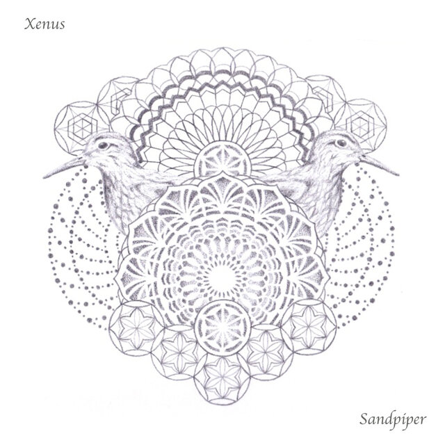 Xenus