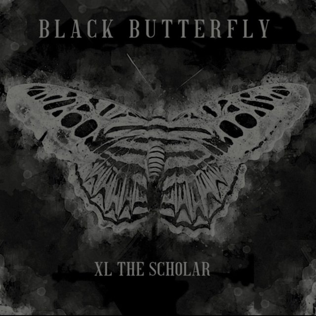 Black Butterfly