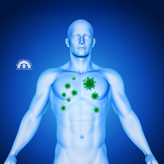 Parasite Full Body Detox, Healing Frequency