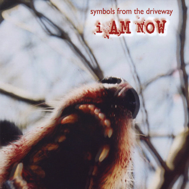 Cover art for album I Am Now by Symbols From the Driveway