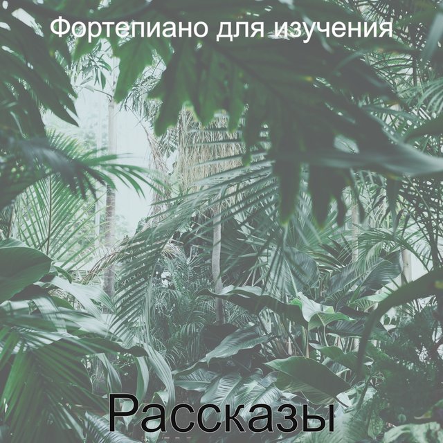 Рассказы