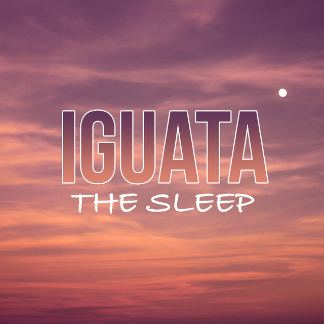 The Sleep
