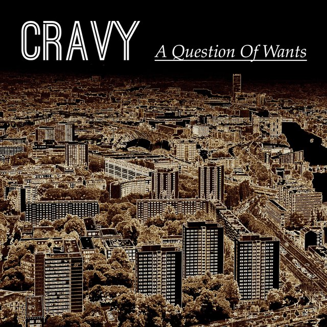 A Question Of Wants