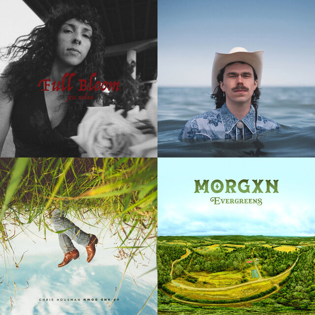 Cover art for album Rainbow Rodeo: A Playlist of LGBTQ+ Country, Americana, Blues, and Roots Music by User