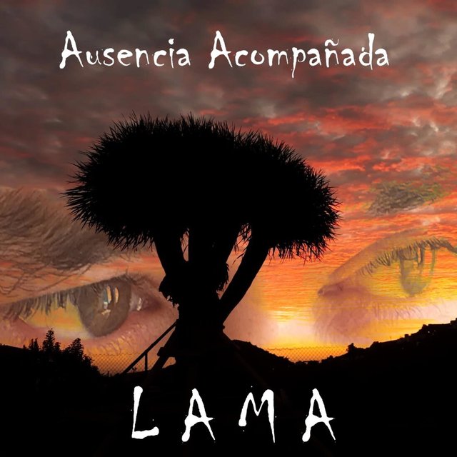 Ausencia Acompañada