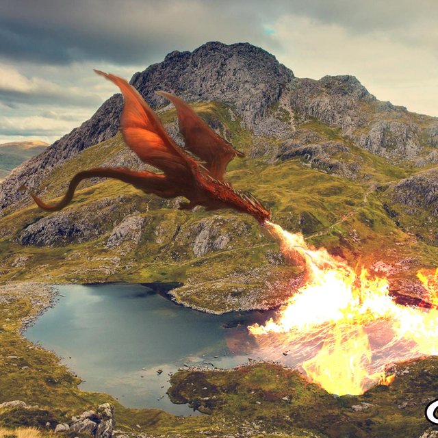 Dragon