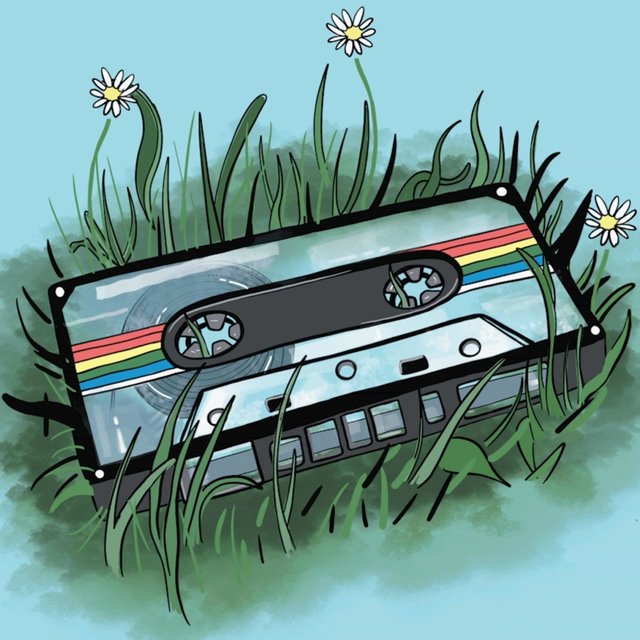 Folk Sports / Houseplant