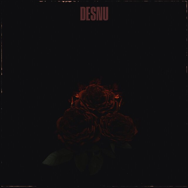 Desnu