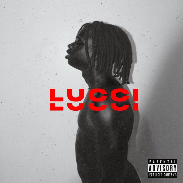 LUCC!