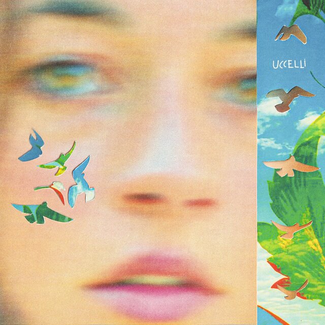 uccelli