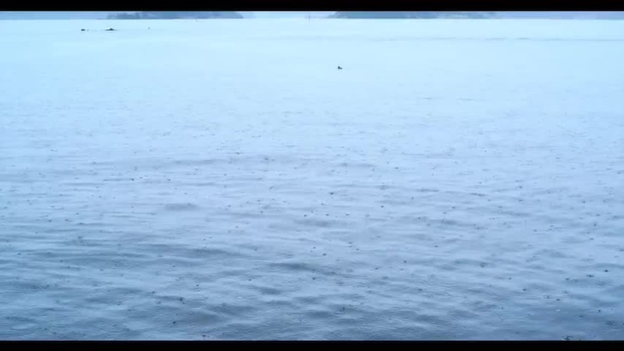 Raised In Rain