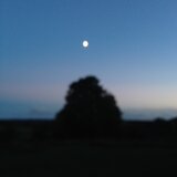 Don't Trust the Moon