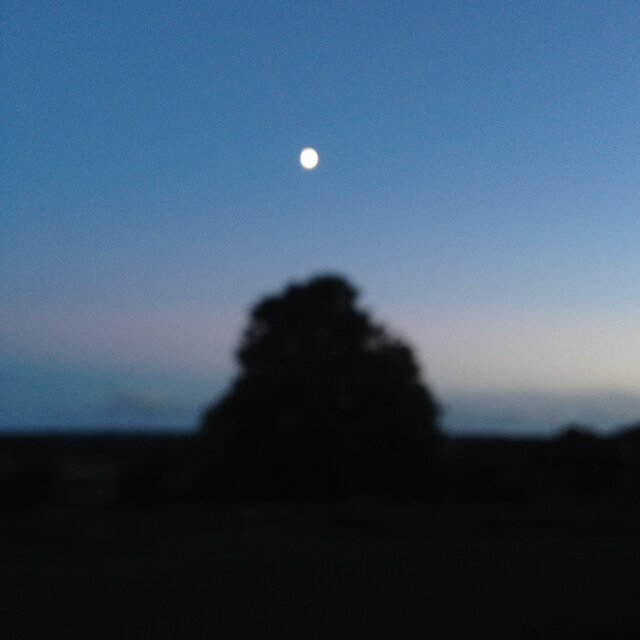 Don't Trust the Moon
