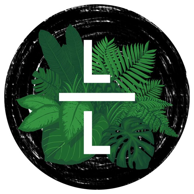 LayLow