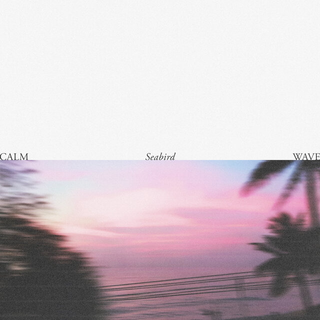 Seabird