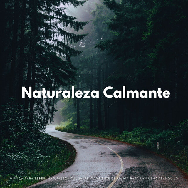 Música Para Bebés: Naturaleza Calmante Y Ambiente De Lluvia Para Un Sueño Tranquilo
