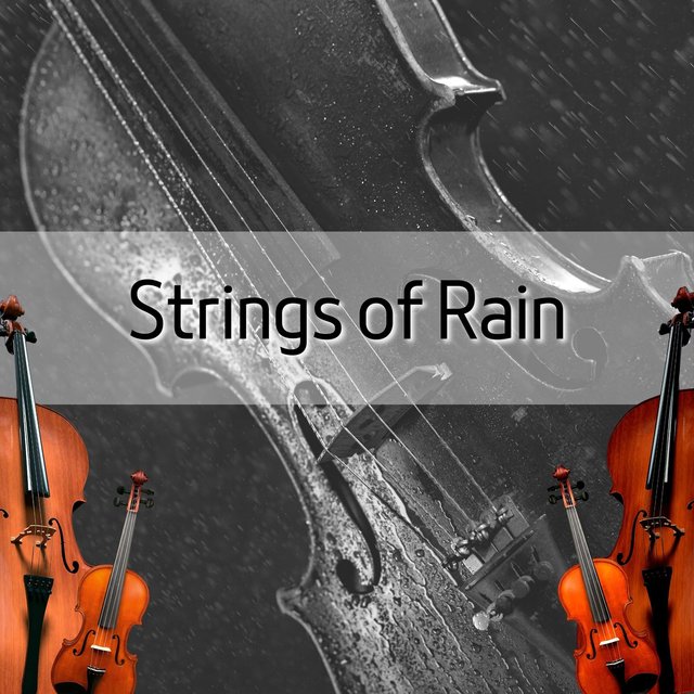 Strings of Rain