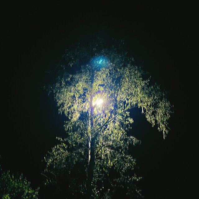 wandering at night