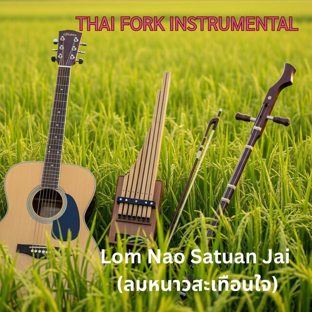 THAI FORK INSTRUMENT