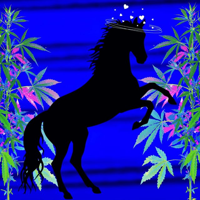 Romantic weed