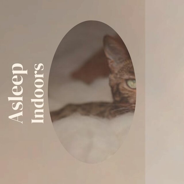 Asleep Indoors