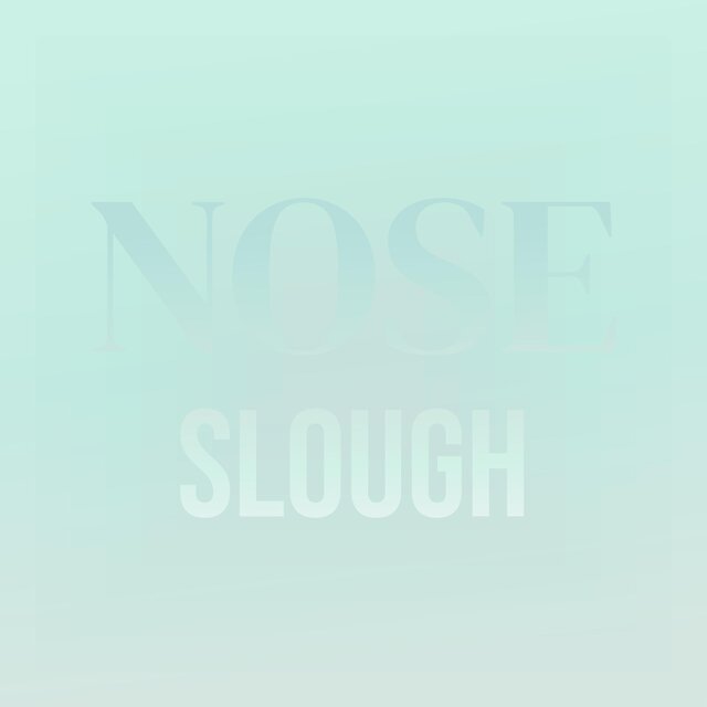 Nose Slough