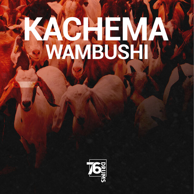 Kachema Wambushi