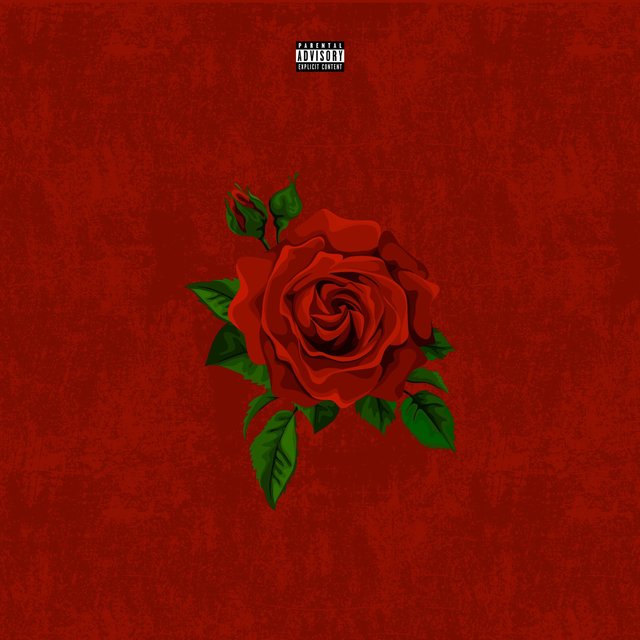 Red Rose