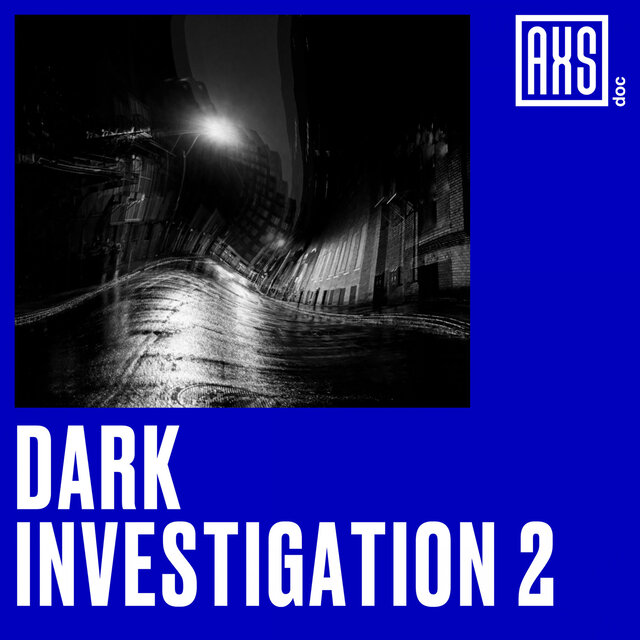 Dark Investigation 2