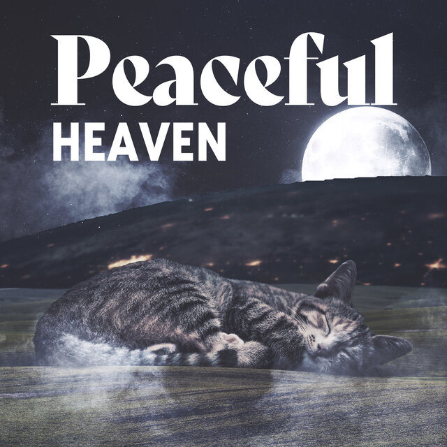 Peaceful Heaven: Lullabies for Pets, Soft Animal Sleep Music