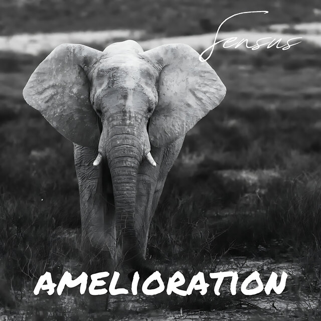 Amelioration