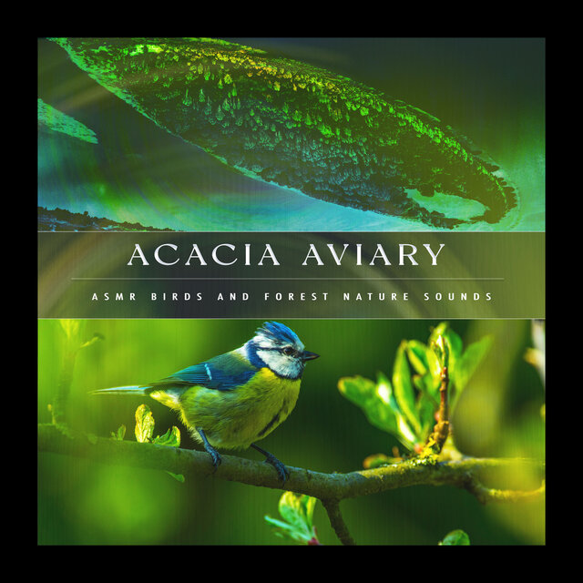 Acacia Aviary