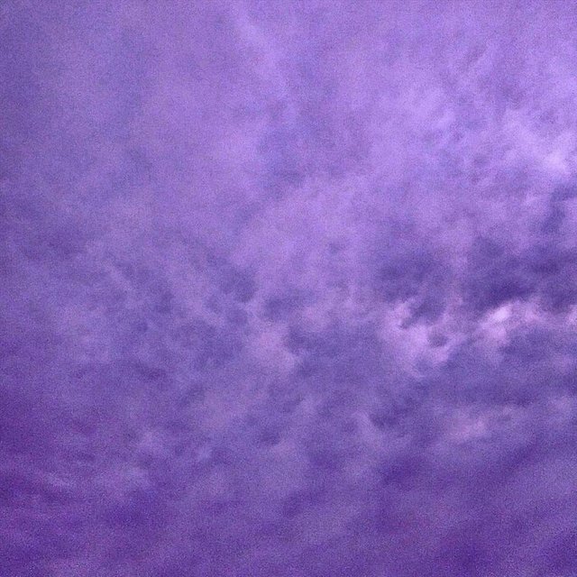 Purple Nature
