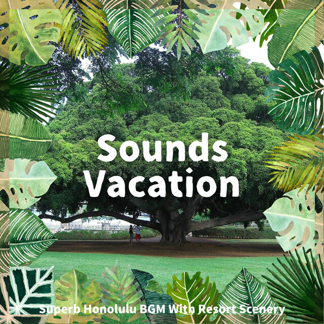 Superb Honolulu BGM With Resort Scenery