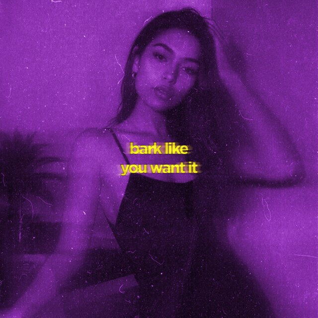 bark like you want it (slowed & reeverb)