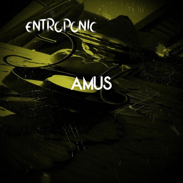 Entroponic