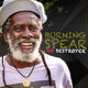 Cover art for album No Destroyer by Burning Spear