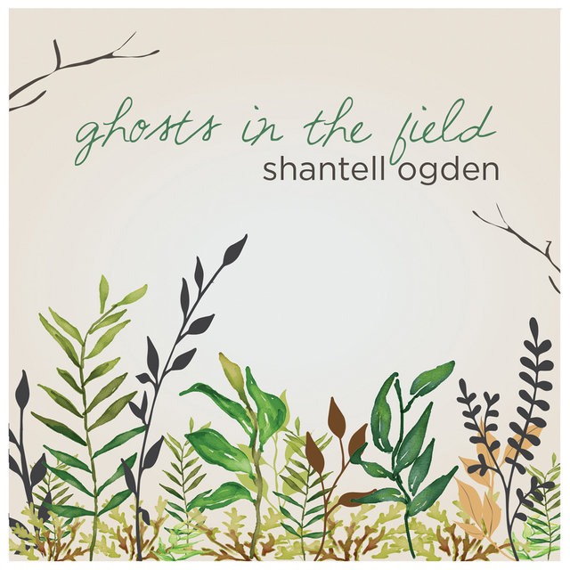 Ghosts in the Field