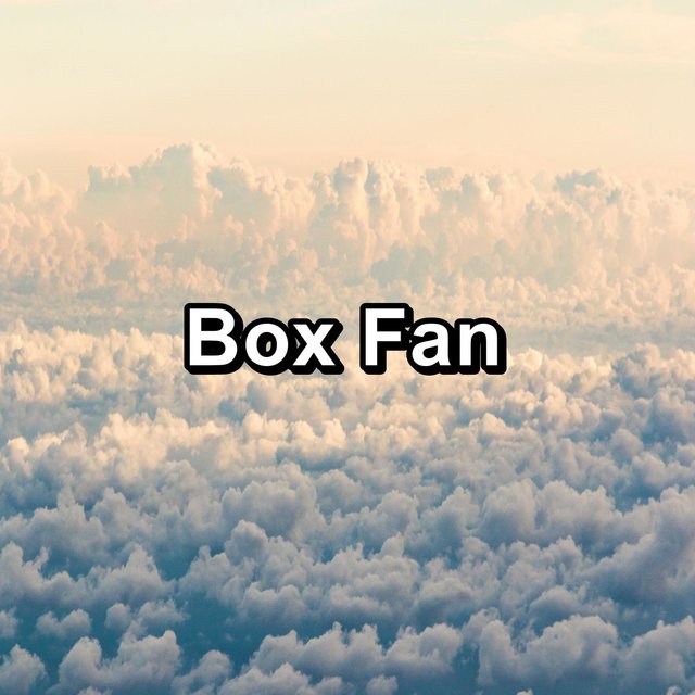 Box Fan