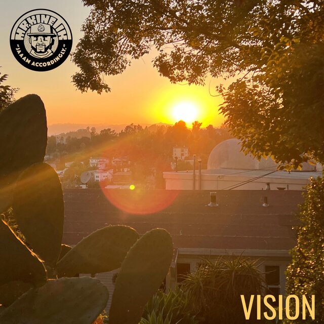 Vision