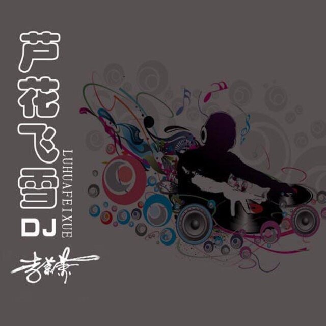 蘆花飛雪DJ版