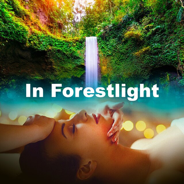 In Forestlight