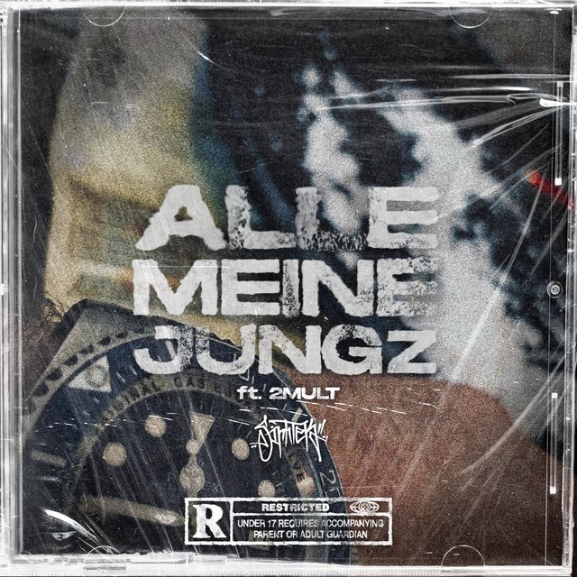 Alle meine Jungz (feat. 2MULT)