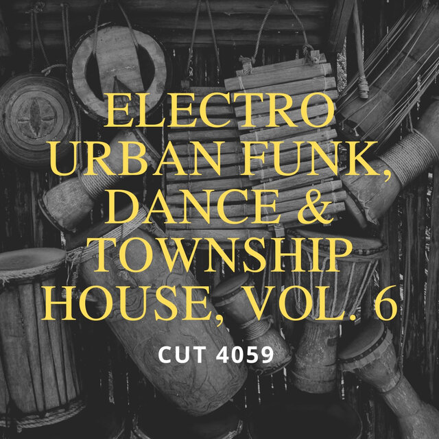 Electro Urban Funk, Dance & Township House, Vol. 6